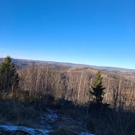 Hochwald Lejlighed