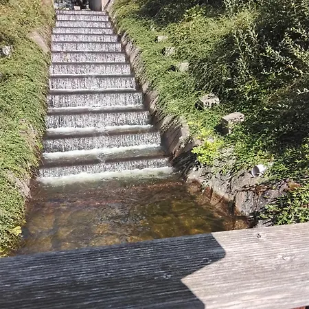 Hochwald 아파트 *