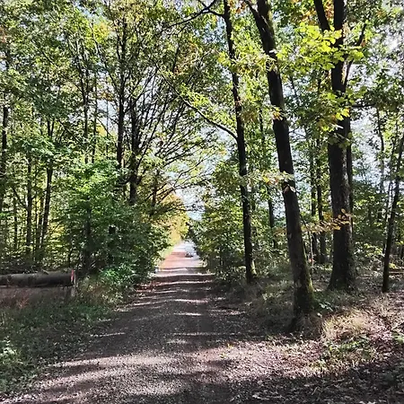 公寓 Hochwald 巴特萨克萨