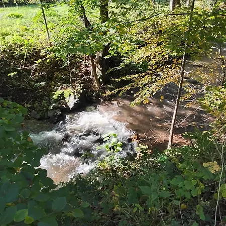 Hochwald