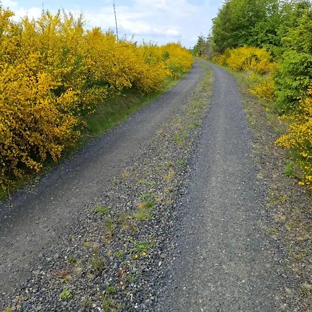 Hochwald * باد ساخسا