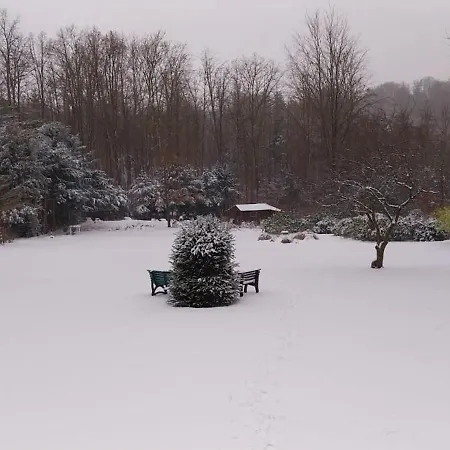 Hochwald 公寓 巴特萨克萨