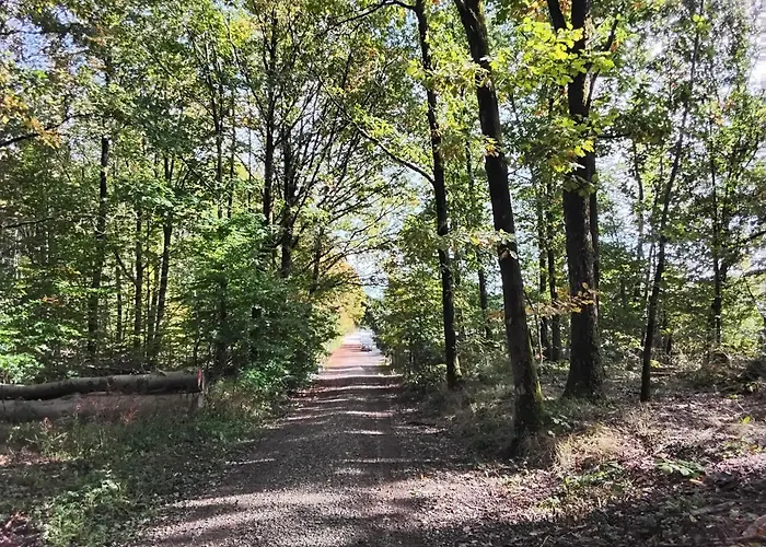 Daire Hochwald Bad Sachsa