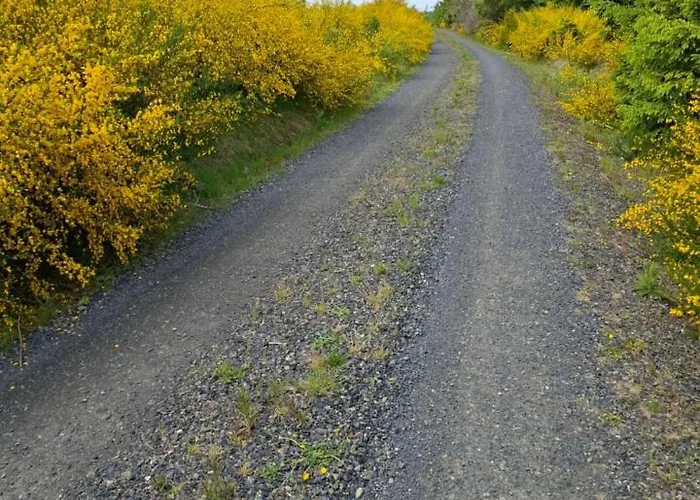 Hochwald * Bad Sachsa
