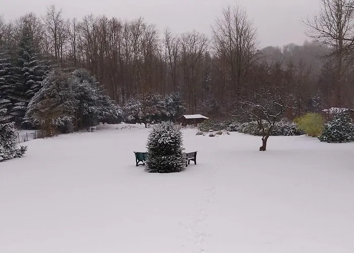 Hochwald Daire Bad Sachsa